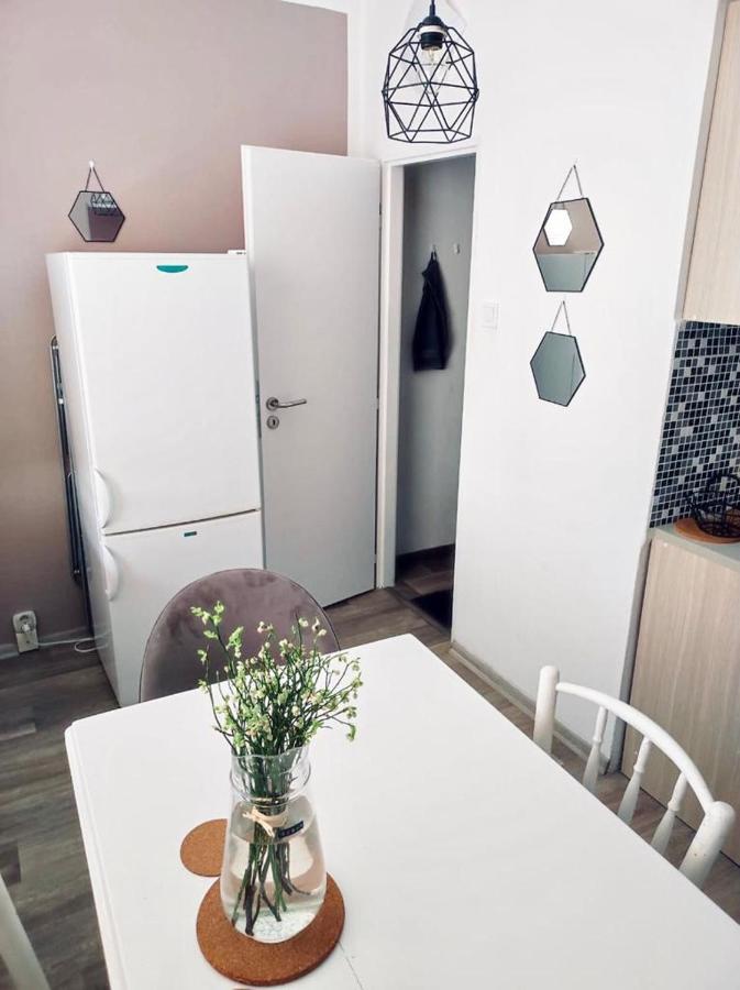 Apartmán Domov Děčín Esterno foto