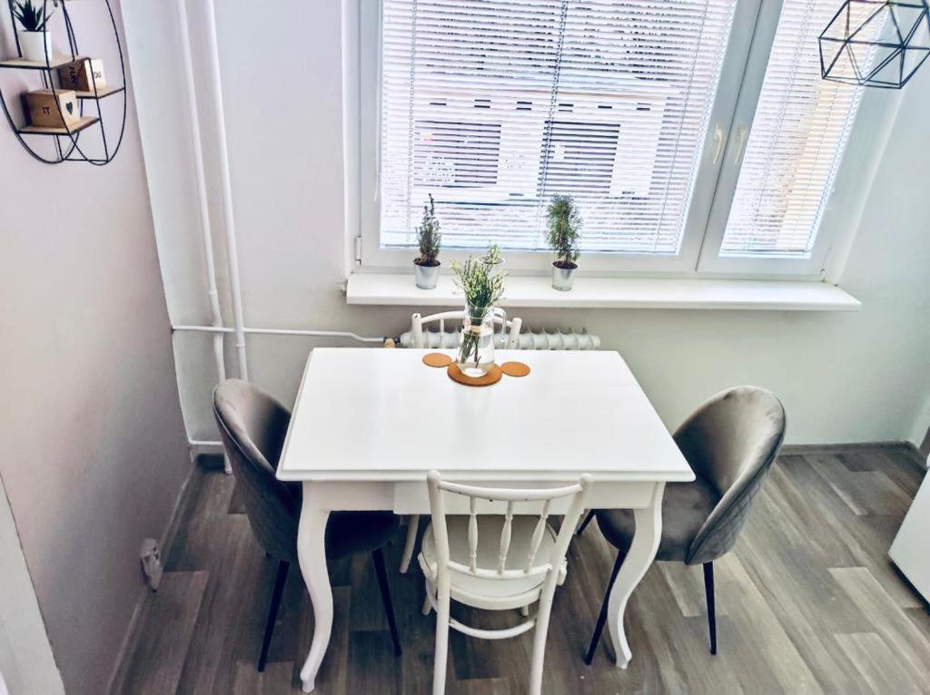 Apartmán Domov Děčín Esterno foto